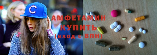 прущие грибы Елизово
