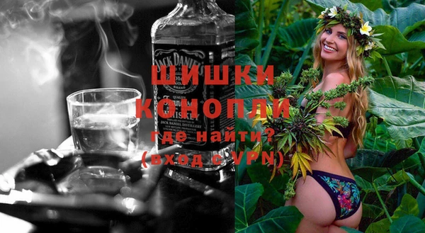 прущие грибы Елизово