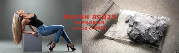прущие грибы Елизово
