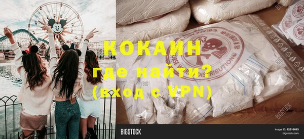 прущие грибы Елизово