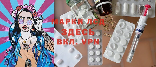 прущие грибы Елизово