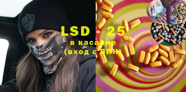 ПСИЛОЦИБИНОВЫЕ ГРИБЫ Ельня