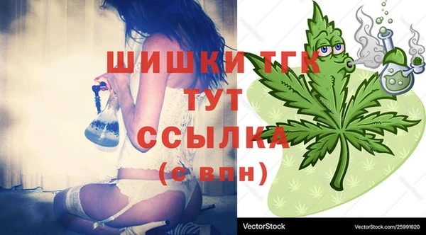прущие грибы Елизово