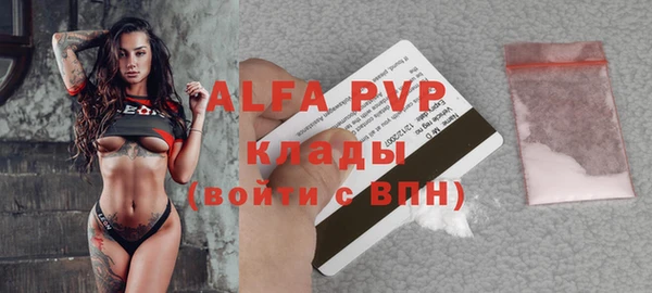 ПСИЛОЦИБИНОВЫЕ ГРИБЫ Ельня