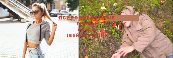 мдма Елабуга