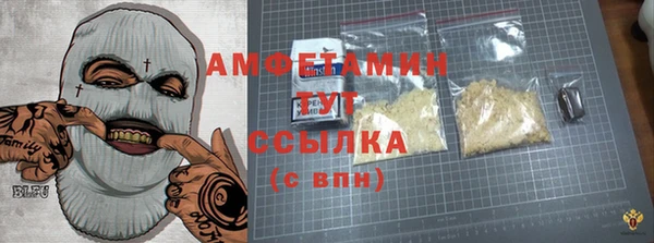ПСИЛОЦИБИНОВЫЕ ГРИБЫ Ельня