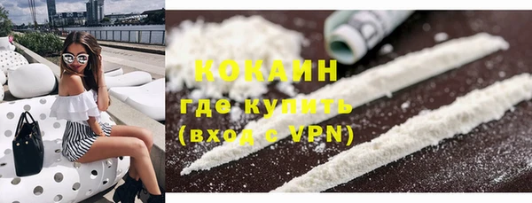 прущие грибы Елизово