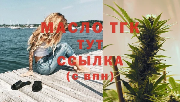 ПСИЛОЦИБИНОВЫЕ ГРИБЫ Ельня