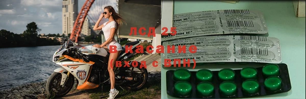ПСИЛОЦИБИНОВЫЕ ГРИБЫ Ельня