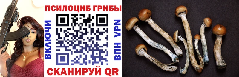 Псилоцибиновые грибы ЛСД  Купить  Стрежевой 